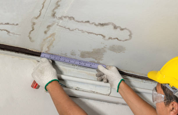 Reliable Structural Drying contractor in Branchville, NJ by Water Damage Irwin